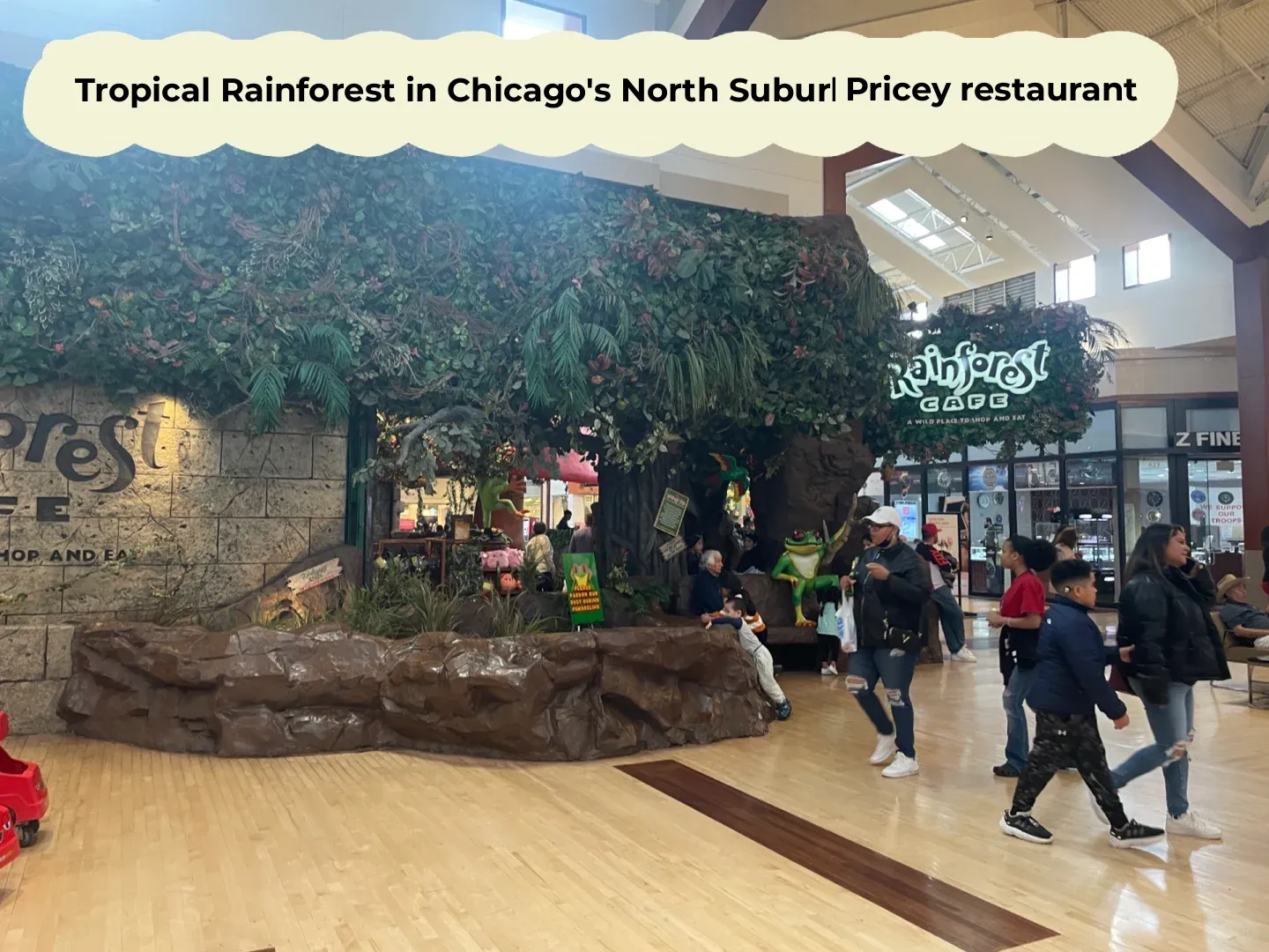 Tropical Rainforest Restaurant in Chicago's North Suburbs | Rainforest Cafe