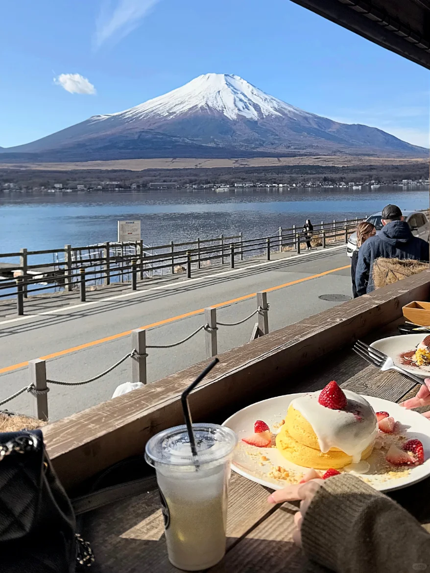 Mount Fuji [The Park] Featuring 4 Hidden Gem Mountain View Cafes