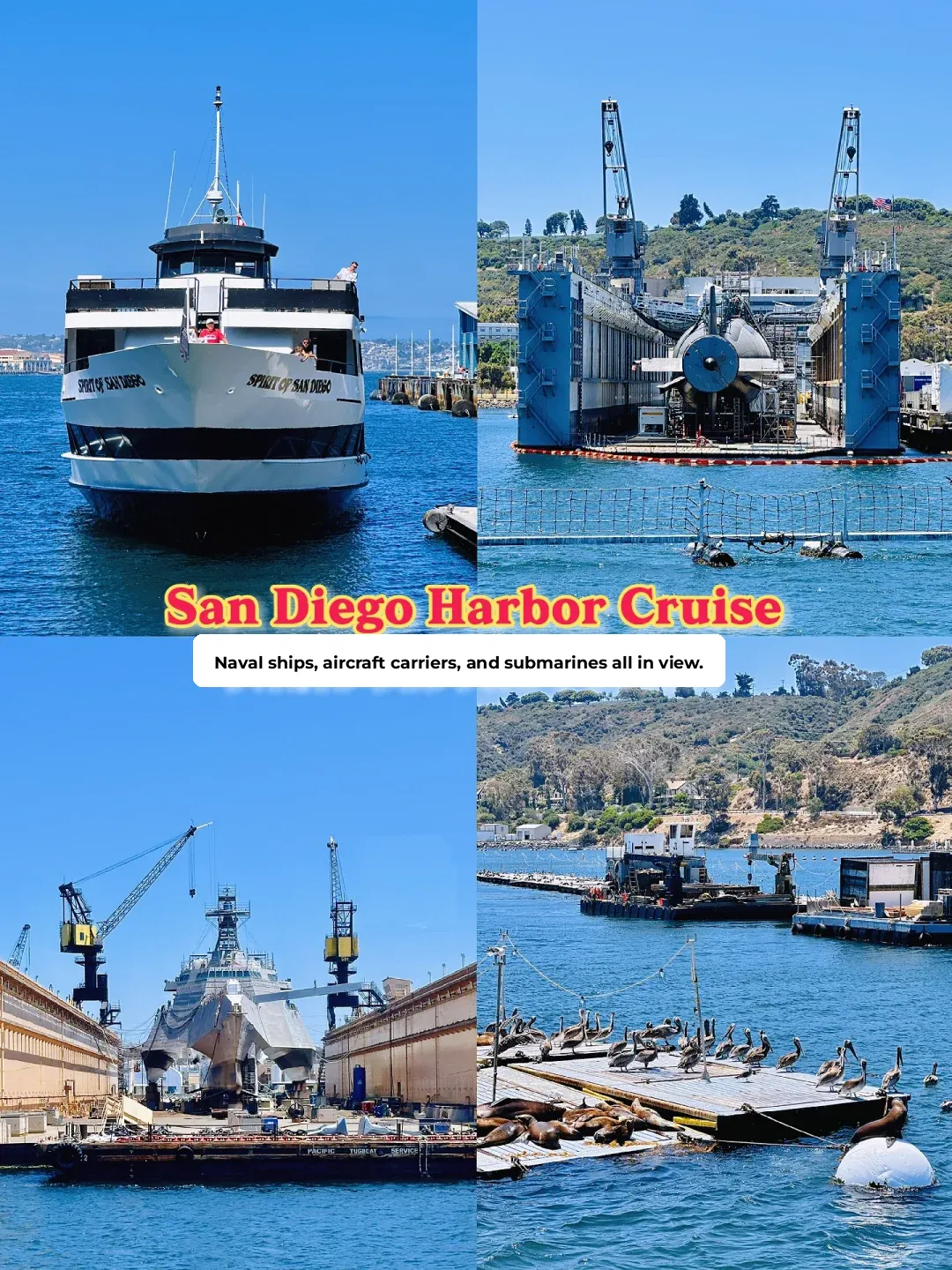 San Diego Naval Base Cruise ~ A Must-Visit for Military Enthusiasts!