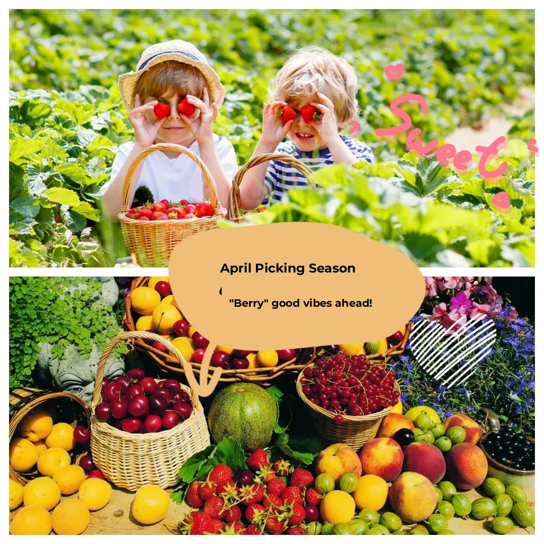 Strawberry Picking at the Farm 🍓 | Perfect Weekend Getaway for Kids