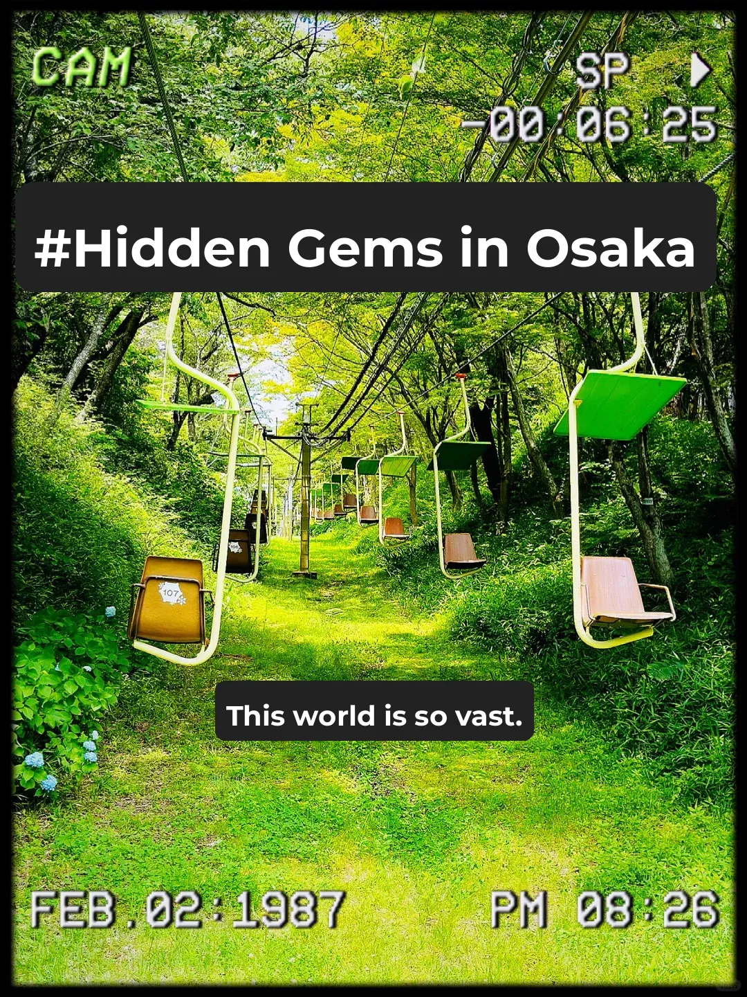 Check Out This Hidden Gem in Osaka: Myokensan