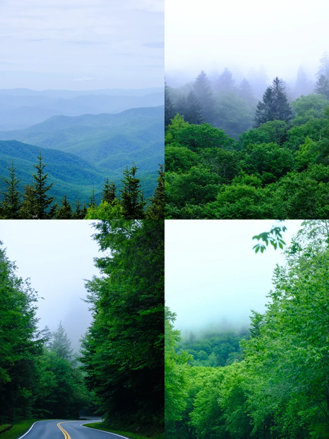 Great Smoky Mountains National Park