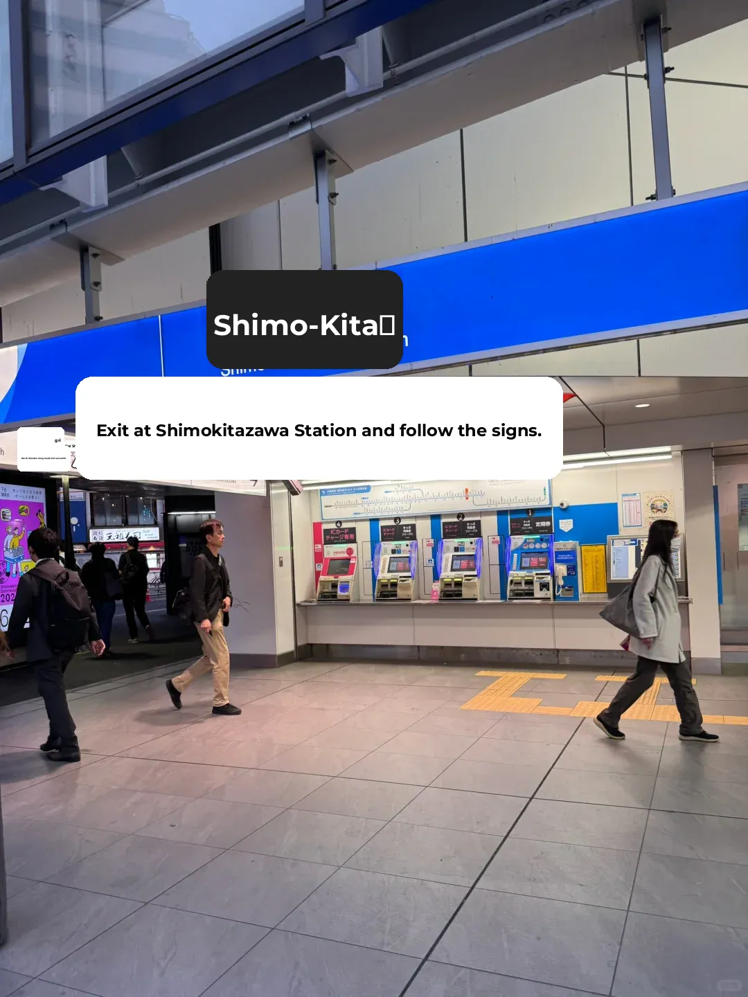 15 Days in Tokyo: A Comprehensive Guide to the Sacred Sites of "Bocchi the Rock!"