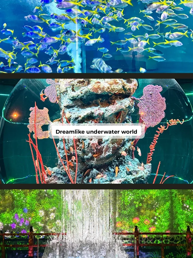 Kobe One-Day Citywalk Itinerary | The Perfect Route Without Backtracking