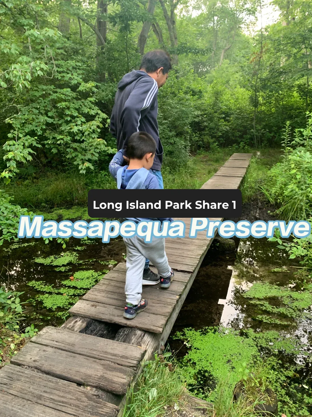 Long Island Park Guide – Massapequa Preserve