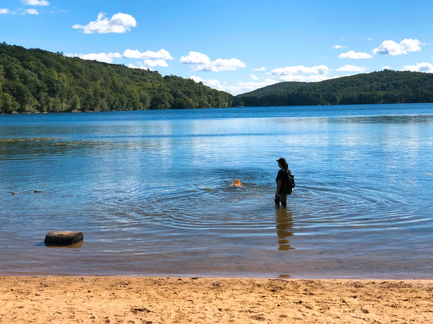 NYC Area | Hiking at Sterling Forest Park