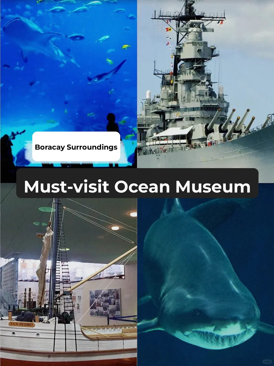 Exploring the Marine Museum with a Little Captain Around Boracay!