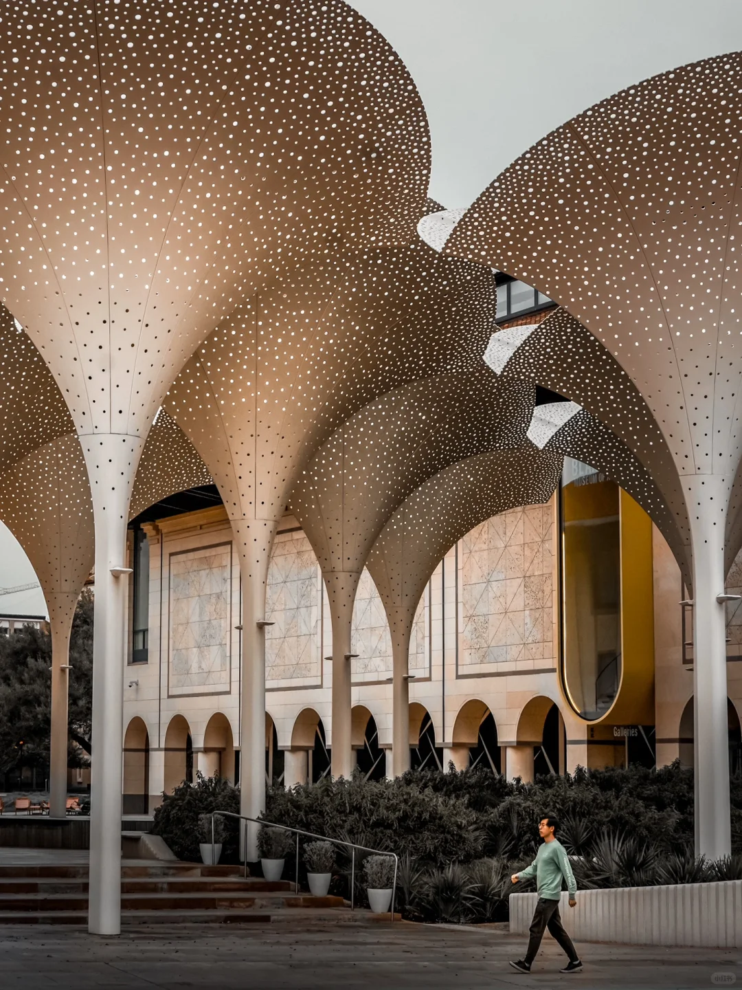 From New York to Austin: Absolutely Blown Away (Plus Must-Visit Photo Spots)