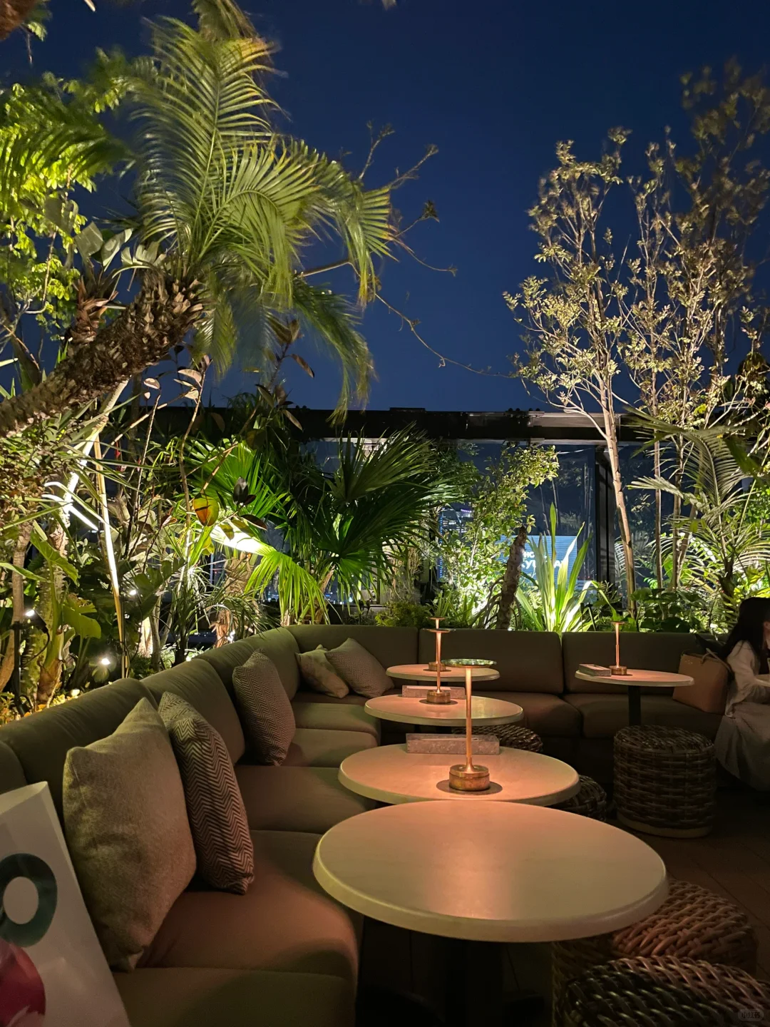Sip a Drink Amidst the Rooftop Jungle