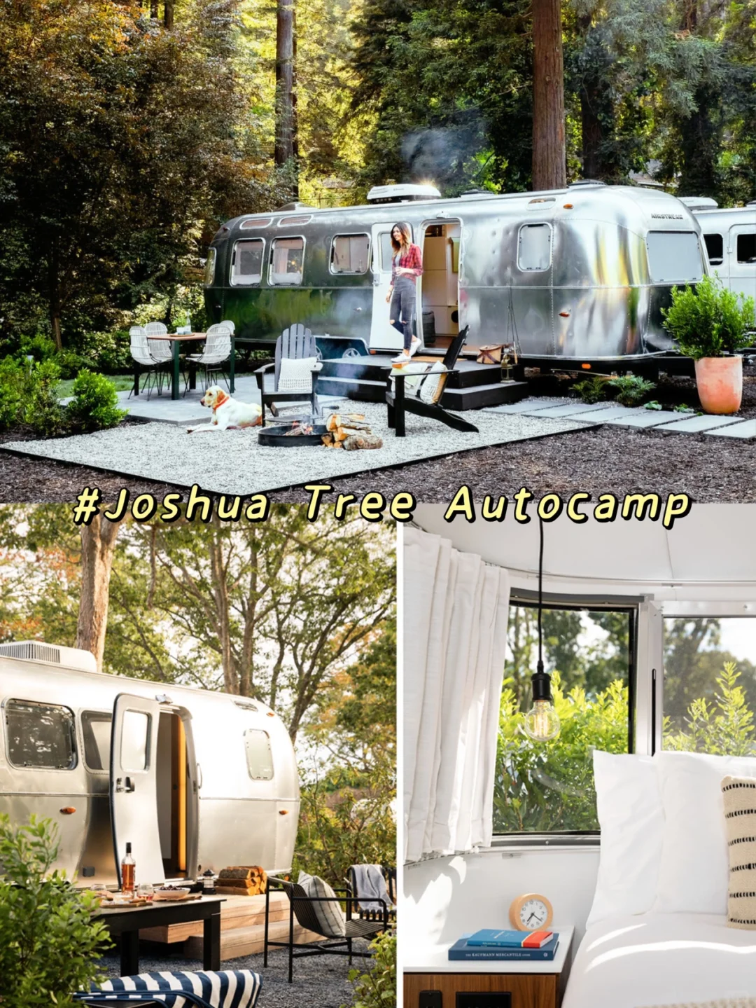 ✨Dreamy Wilderness Camping Adventure! The Best ⛺️ Camping Spots in LA!