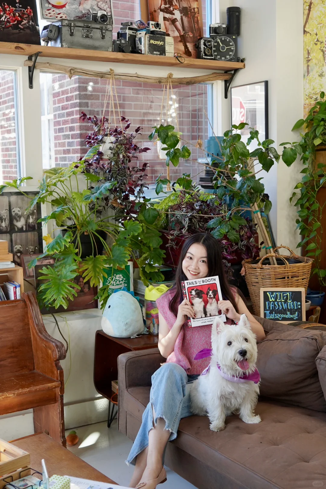 ✨St. Louis’ Most Instagrammable Dog Café📷✨