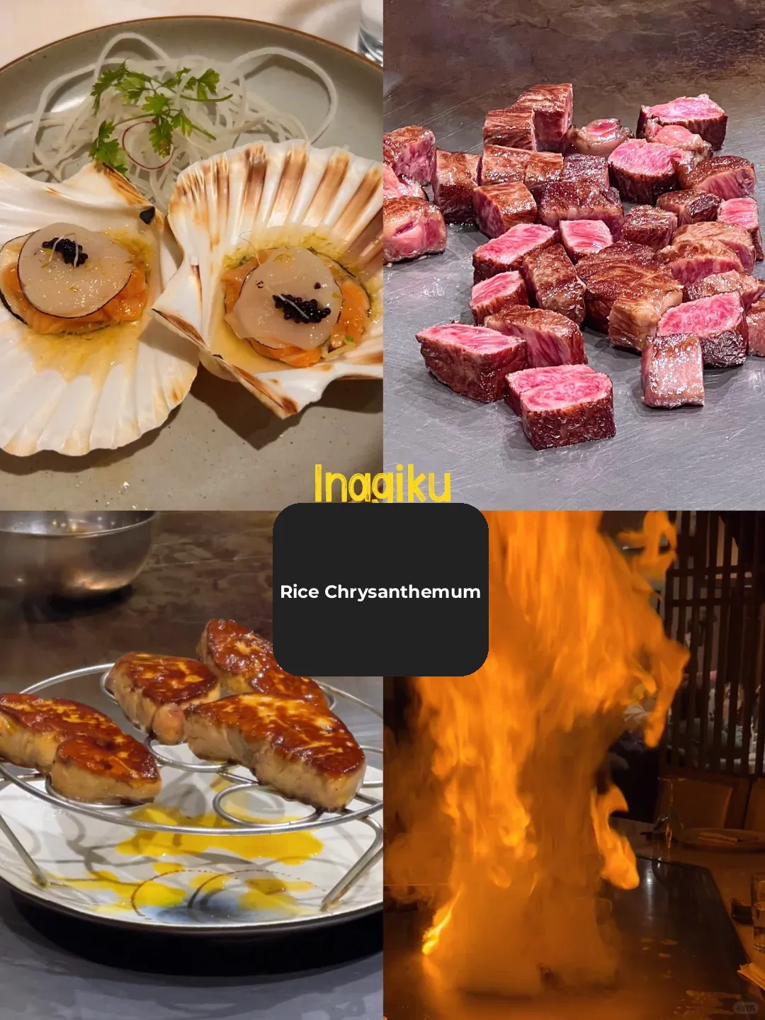 Paris Teppanyaki | Indulge in Foie Gras, Wagyu, and Abalone All in One Place