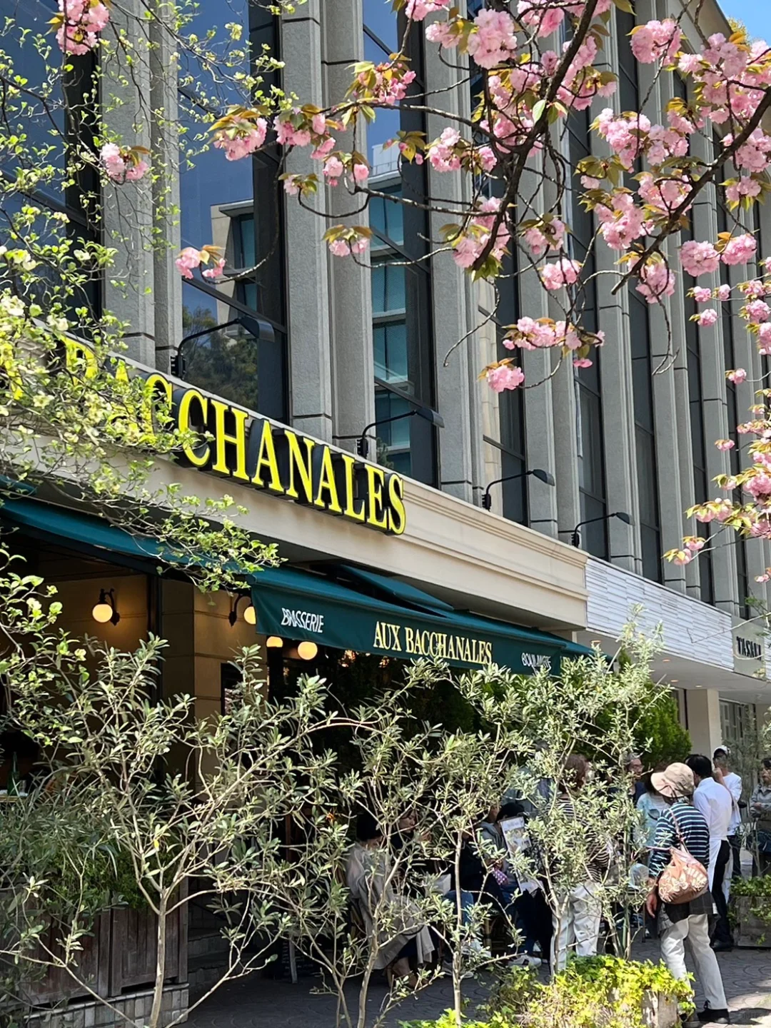 Old Money Tokyo Eateries