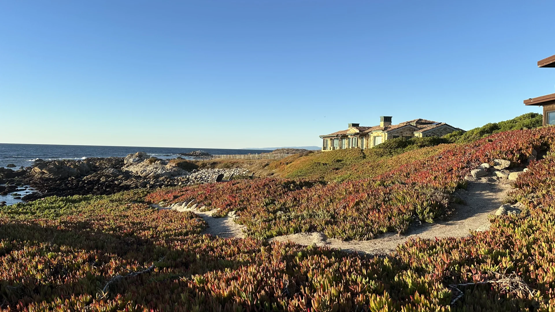 "Succulents and Sunsets by the Monterey Coast"