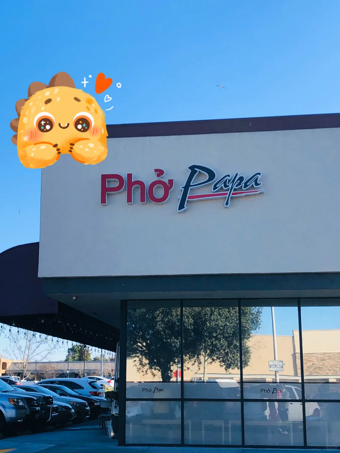 Best Vietnamese Pho in San Jose, Bay Area