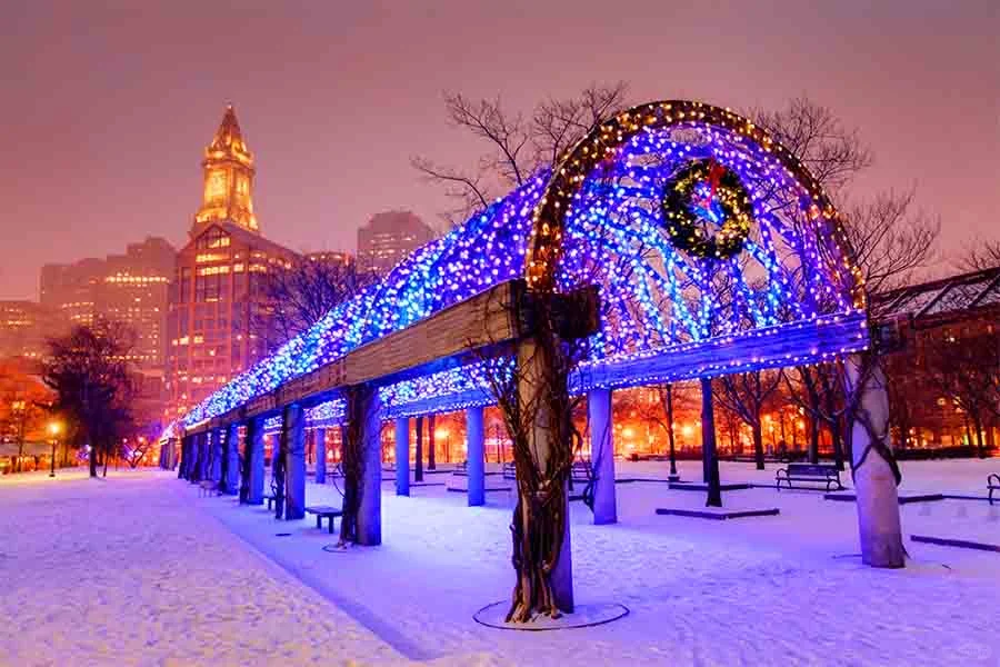 🎄 The Ultimate Guide to Christmas Tree Lighting Events in Boston!