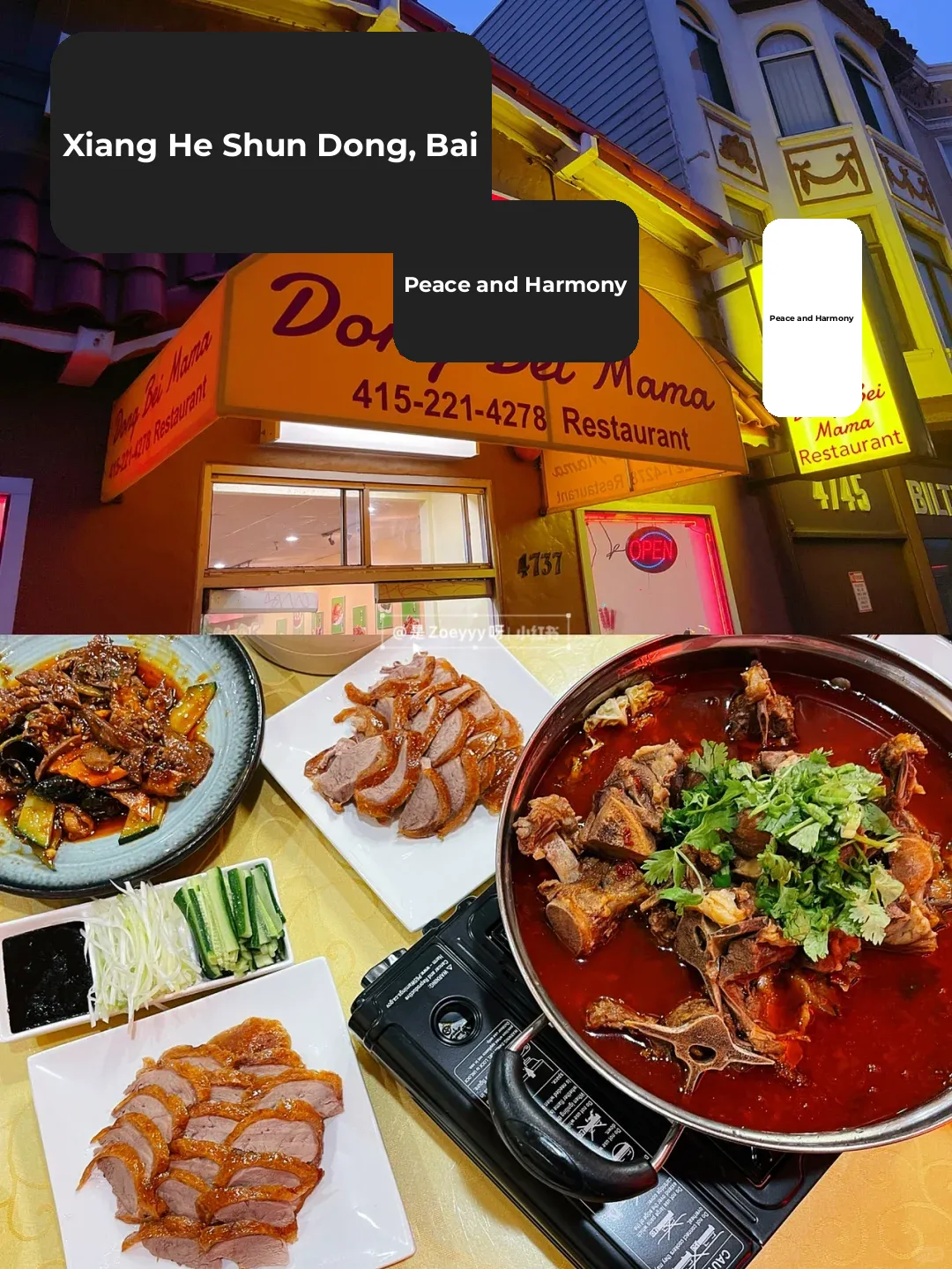 Bay Area | Budget-Friendly Northeastern Cuisine in SF + Hearty Lamb Spine Hotpot 🍲