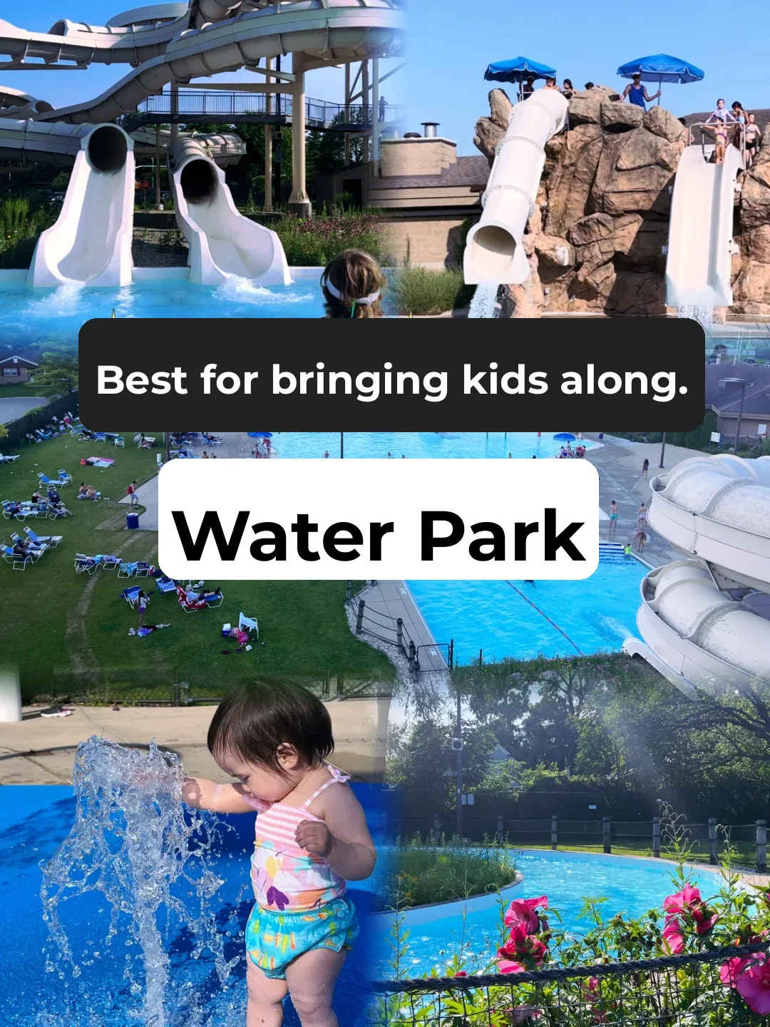 Around Chicago | Shorter Lines, Prices Less Than Half of Six Flags