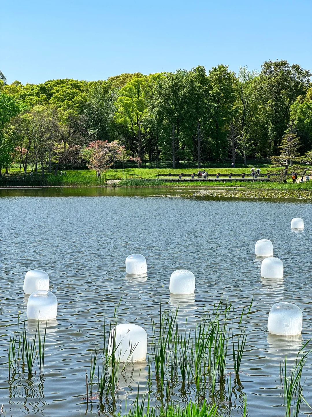 🇯🇵 Osaka's Parks Have Reached the Next Level!!!