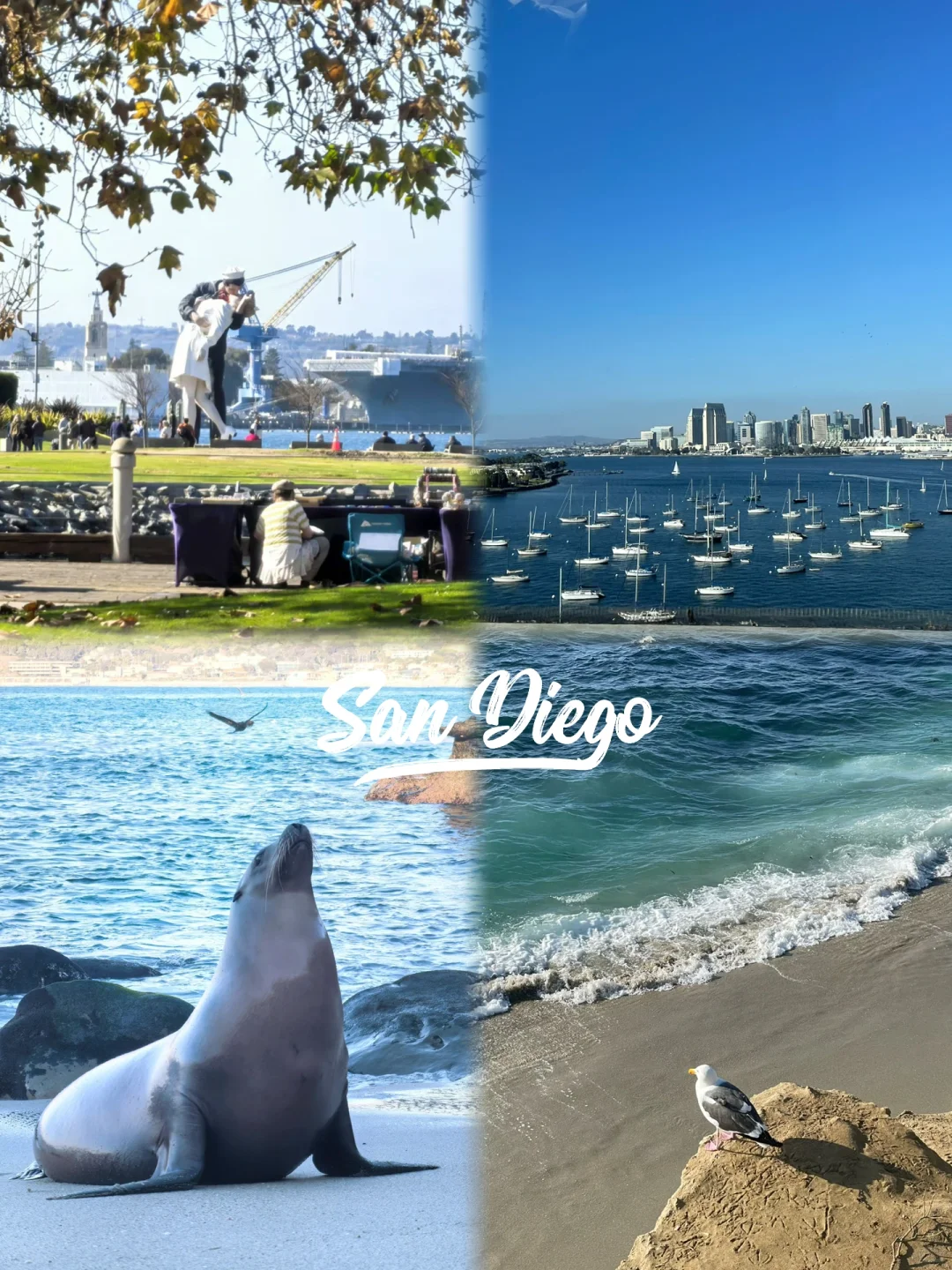 It's Impossible Not to Love San Diego ❤️