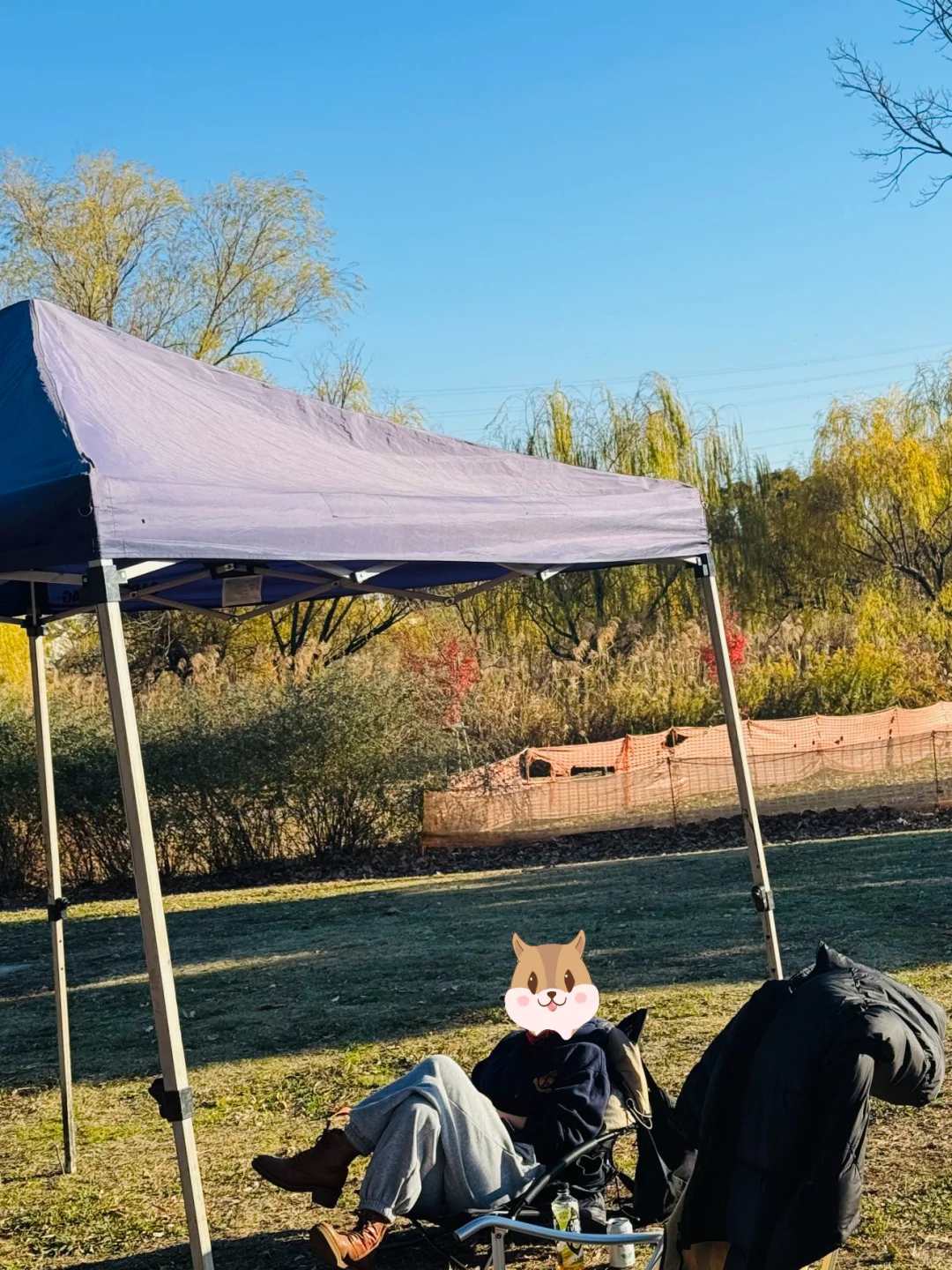 The Final Event of C-Camp This Year! Adachi Park BBQ Wrapped Up