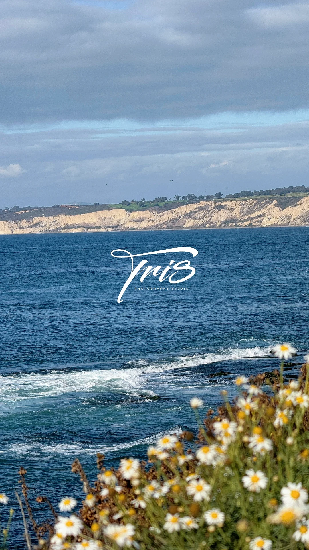 Must-See Stunning Beachside Spots in San Diego's La Jolla 🏖️