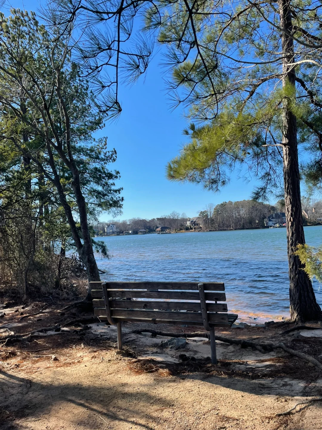 Charlotte Area | Jetton Park