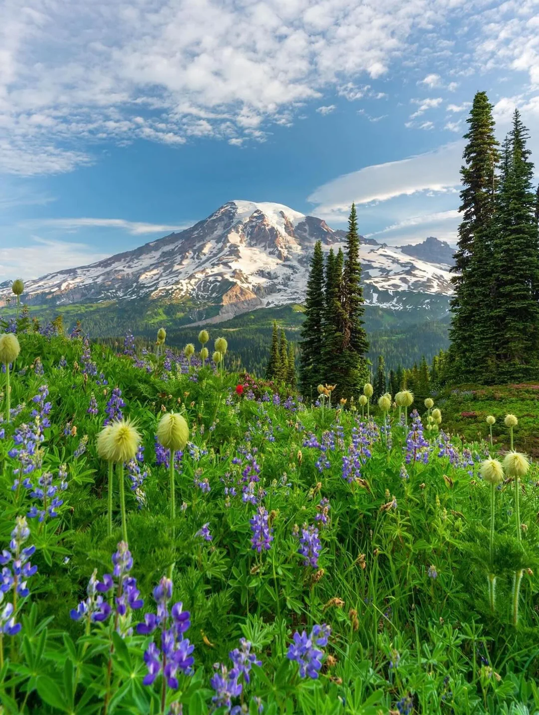 4 Must-Try Seattle Day Trip Routes! Save This!