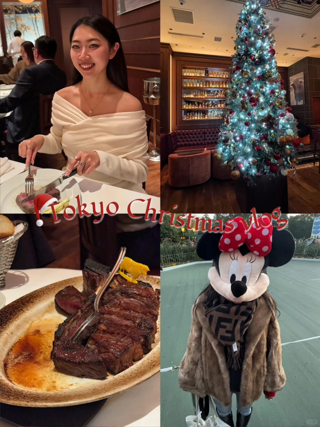🎄 Tokyo Christmas Vlog ✨ What We Did During Japan's Most Romantic December ~