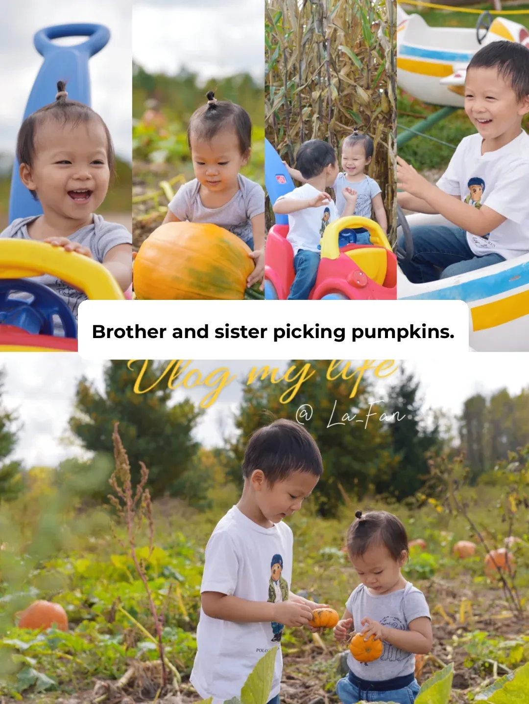 Milwaukee's Best Pumpkin-Picking Farms for Kids
