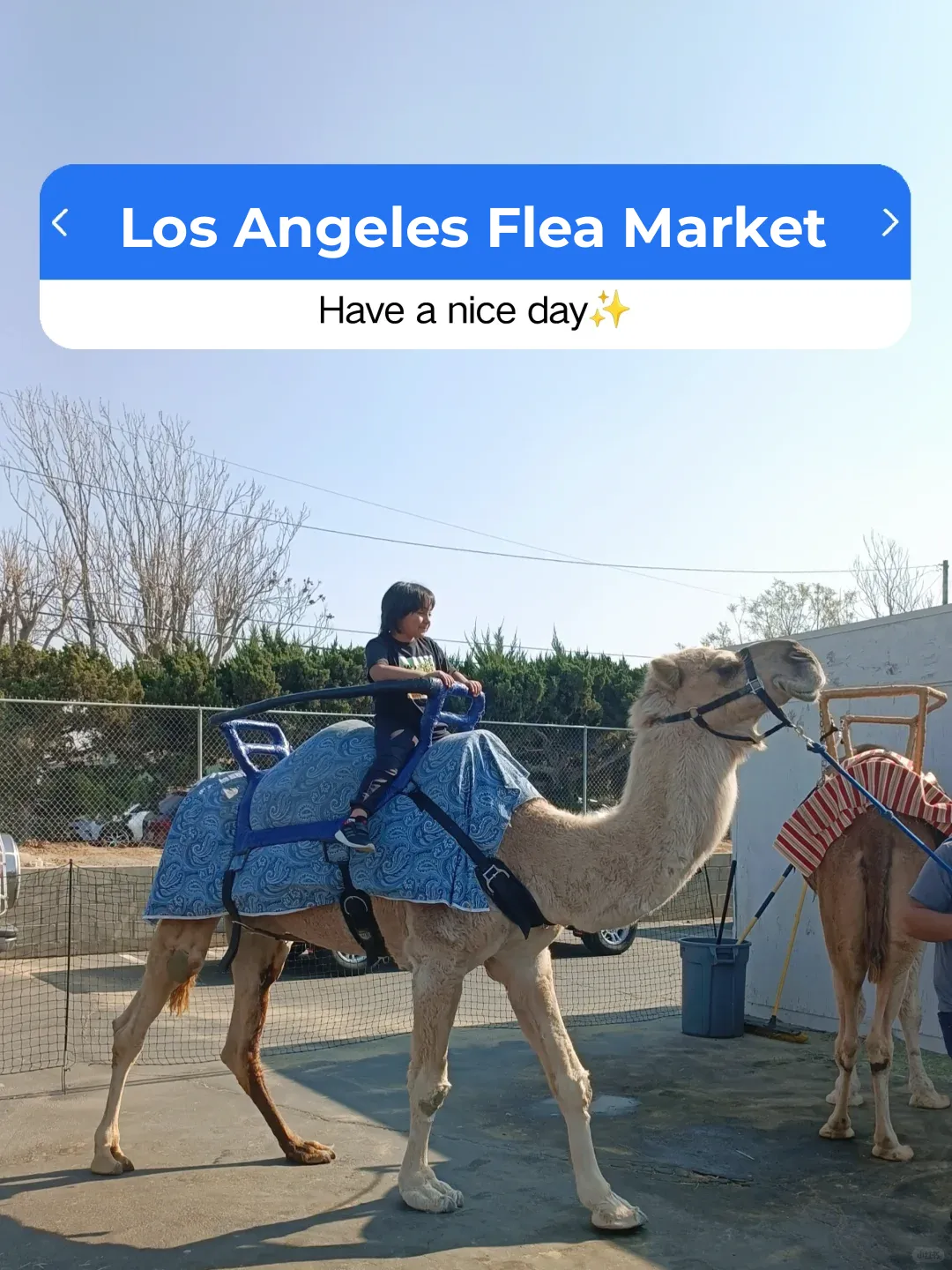 Los Angeles Flea Market