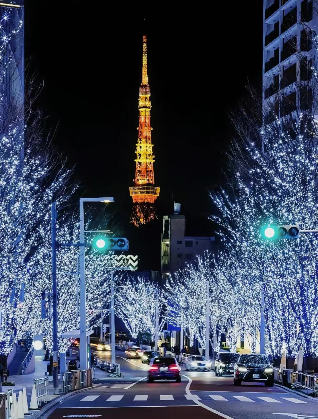 Japan's Christmas & New Year Hotspot