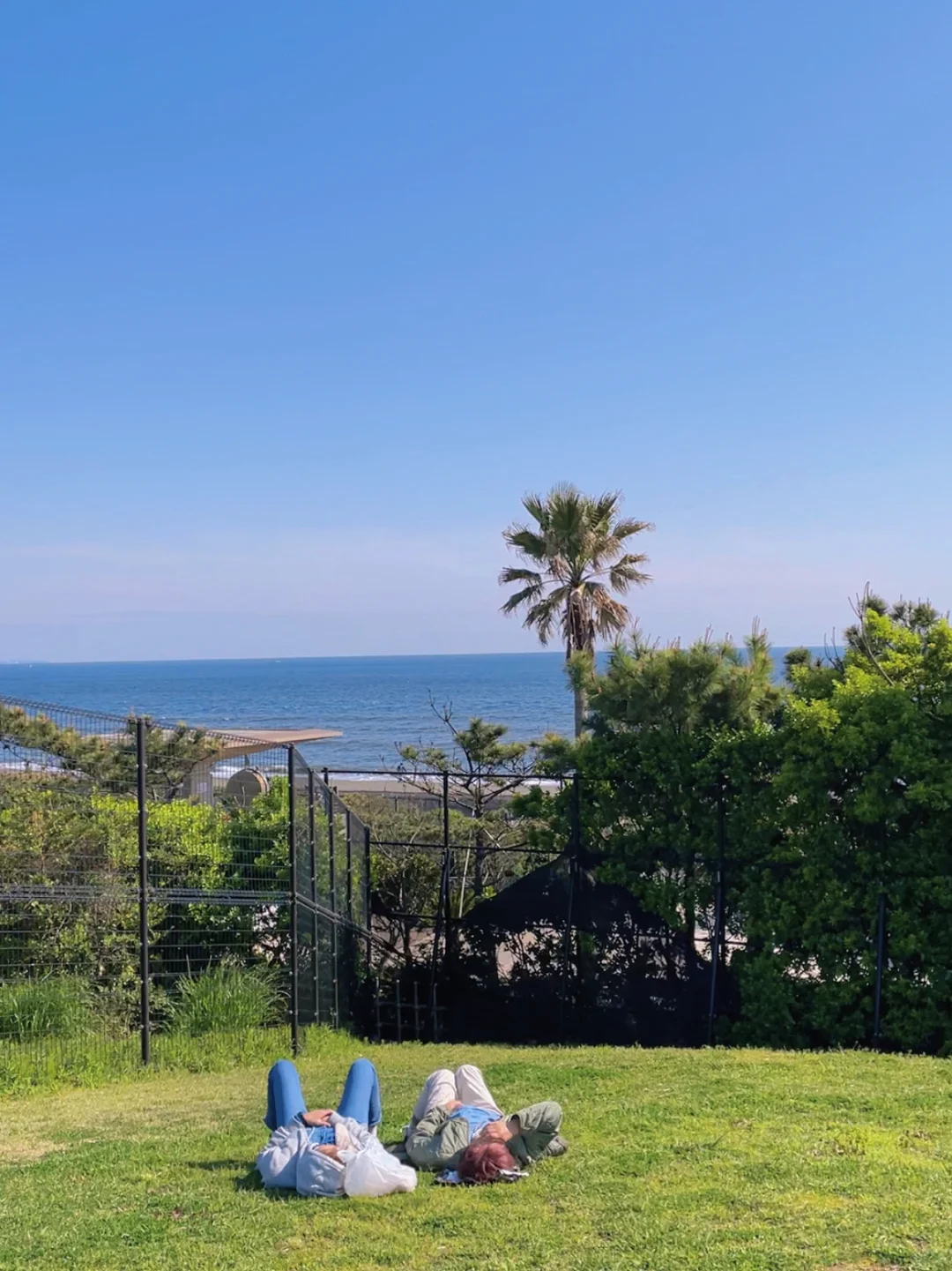 Tokyo Vicinity | Tsujido Seaside Park: Even Prettier Than Enoshima