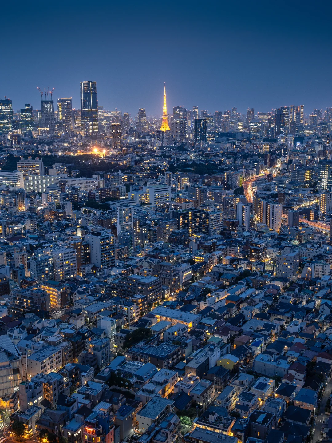 This Free Observation Deck Beats Shibuya Sky Any Day! ‼️