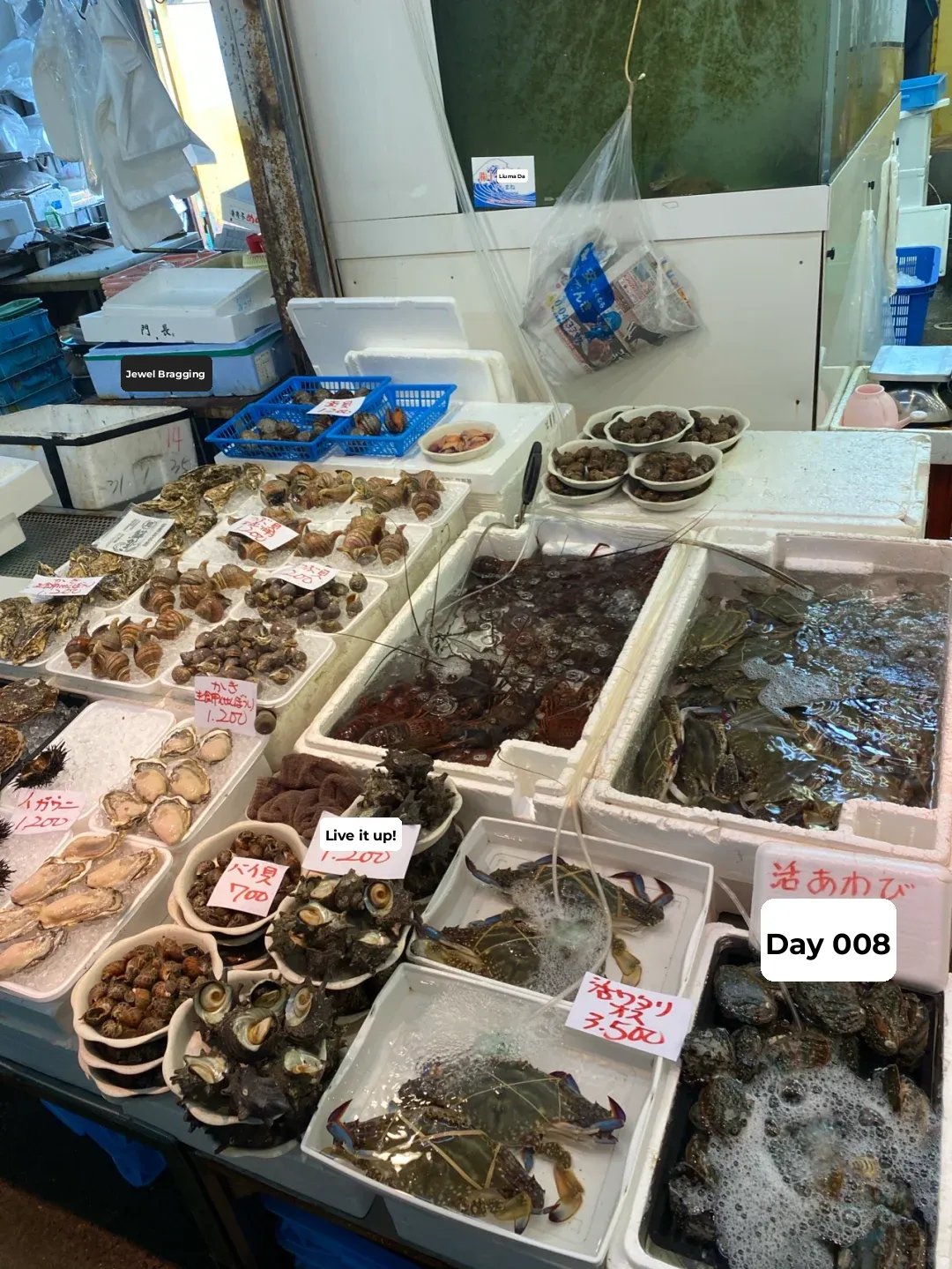 Osaka Aozora Market: Fresh and Affordable Seafood Galore!