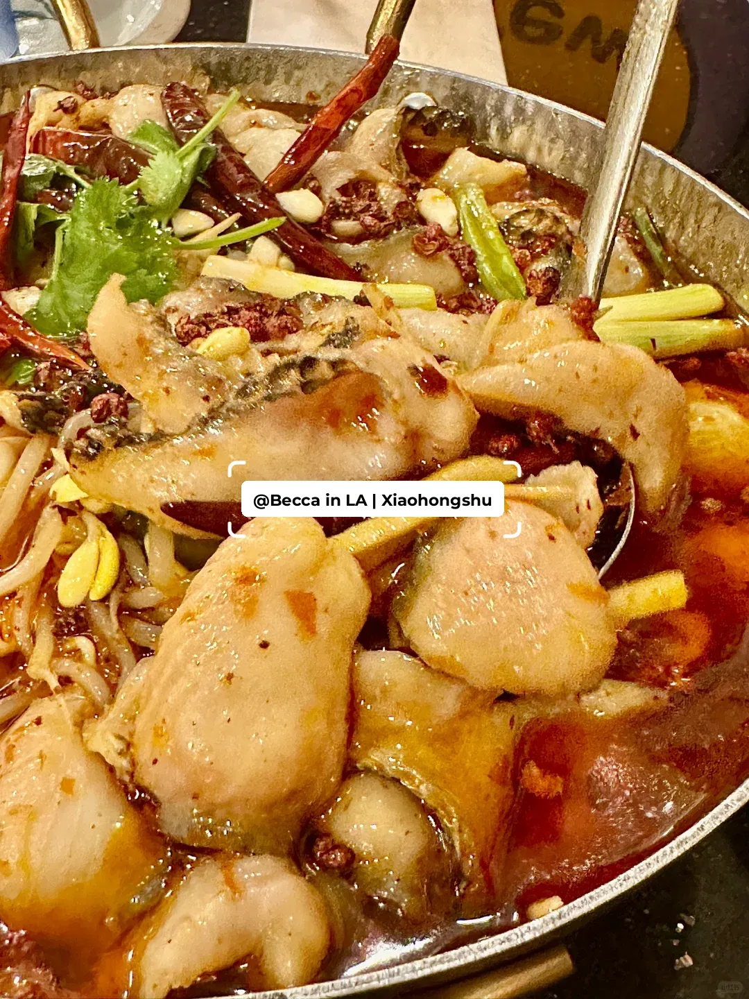"LA's SG Sichuan Cuisine is Amazing! 🥰 Only $36.99 for Two and We Were Stuffed! ‼️"