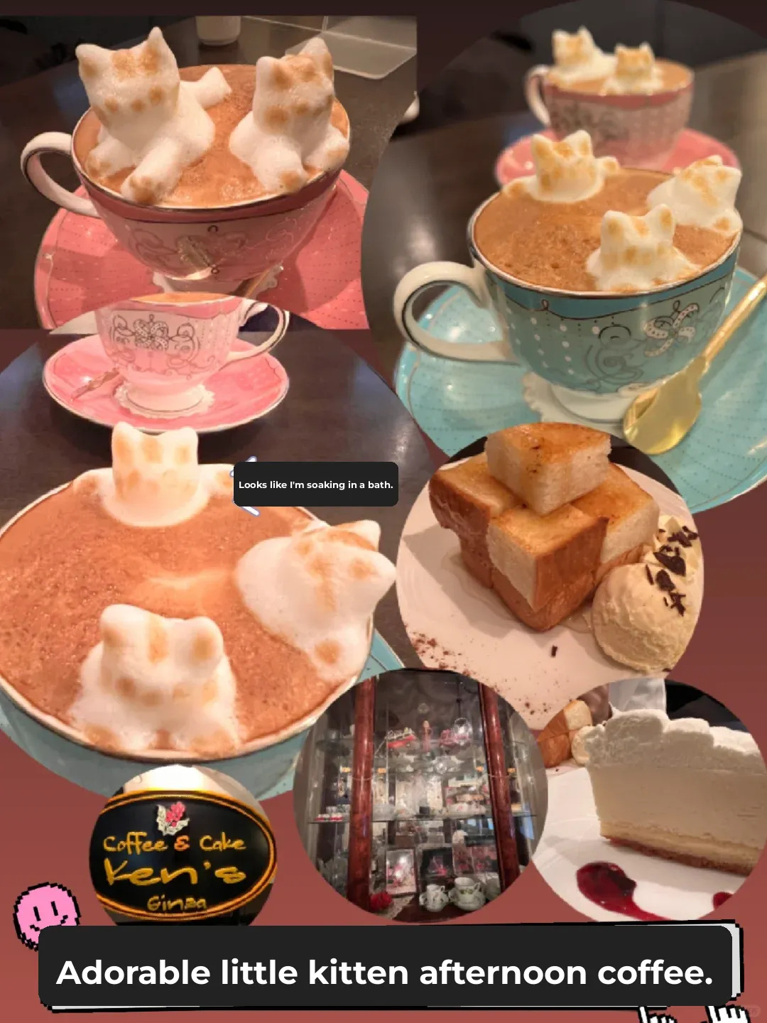 "Tokyo Ginza Afternoon Tea: The Ultimate Cute Cat-Themed Set for Girls"