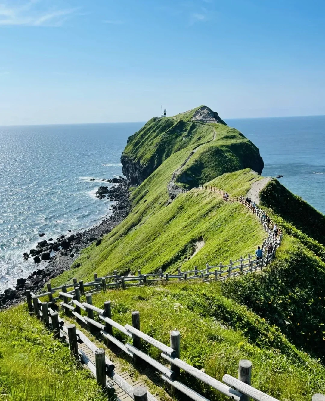 Japan | Osaka Kyoto Nara Travel Diary 💌