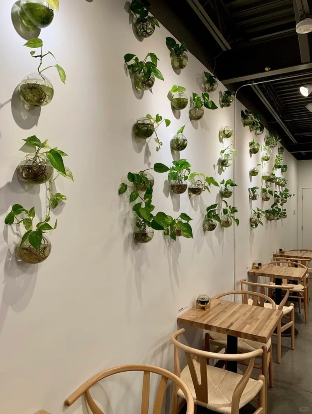 Tiki Tea: Portland's Bubble Tea Spot