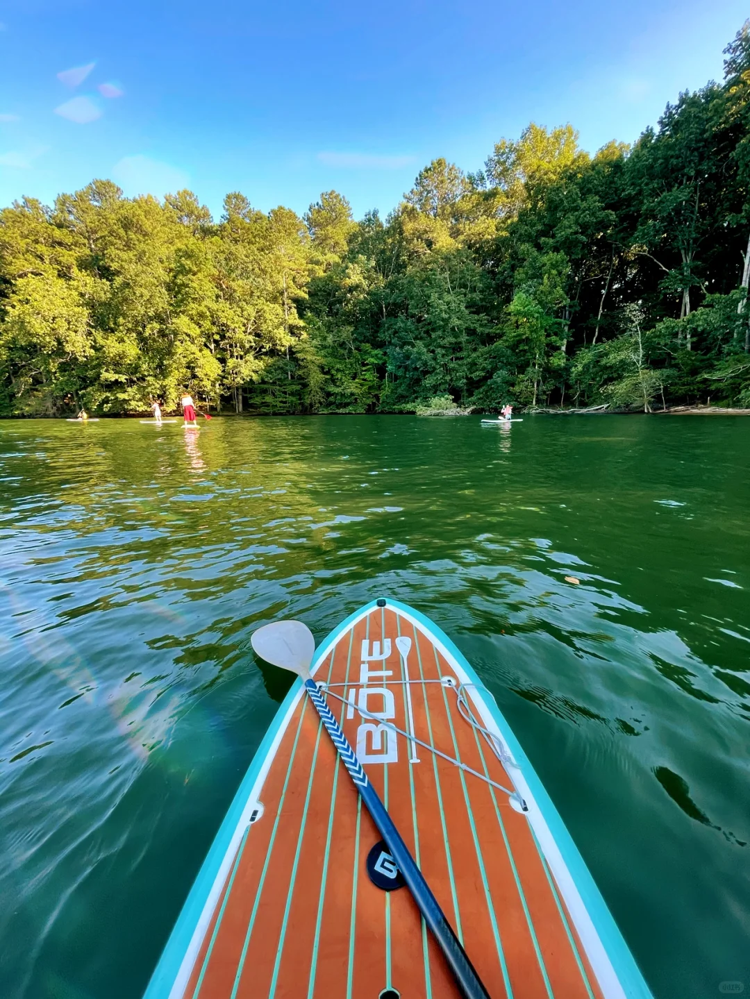 Paddleboarding Adventure at Lake Lanier in Atlanta