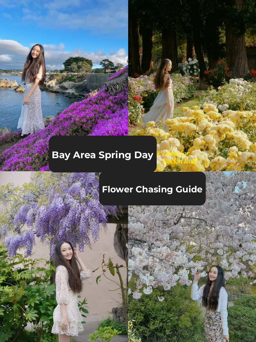**Where to Go in the Bay Area This Spring 🌱 Don’t Miss This Super Detailed Flower Viewing Guide**
