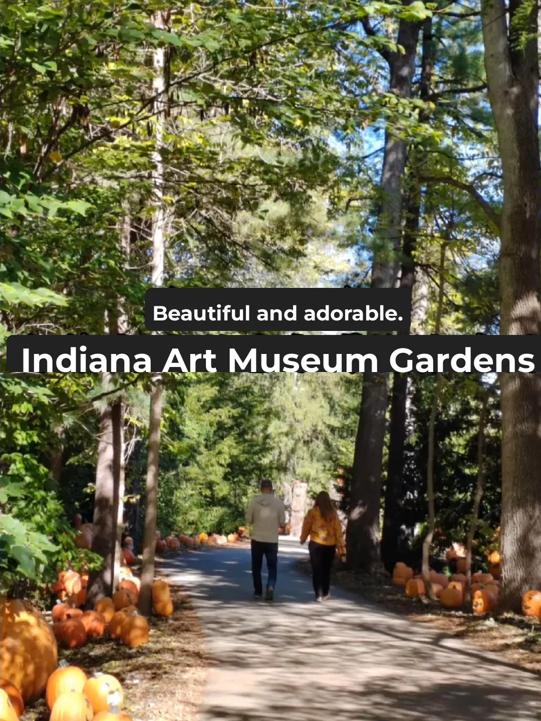 "Come Here for Halloween Fun! 🤓"