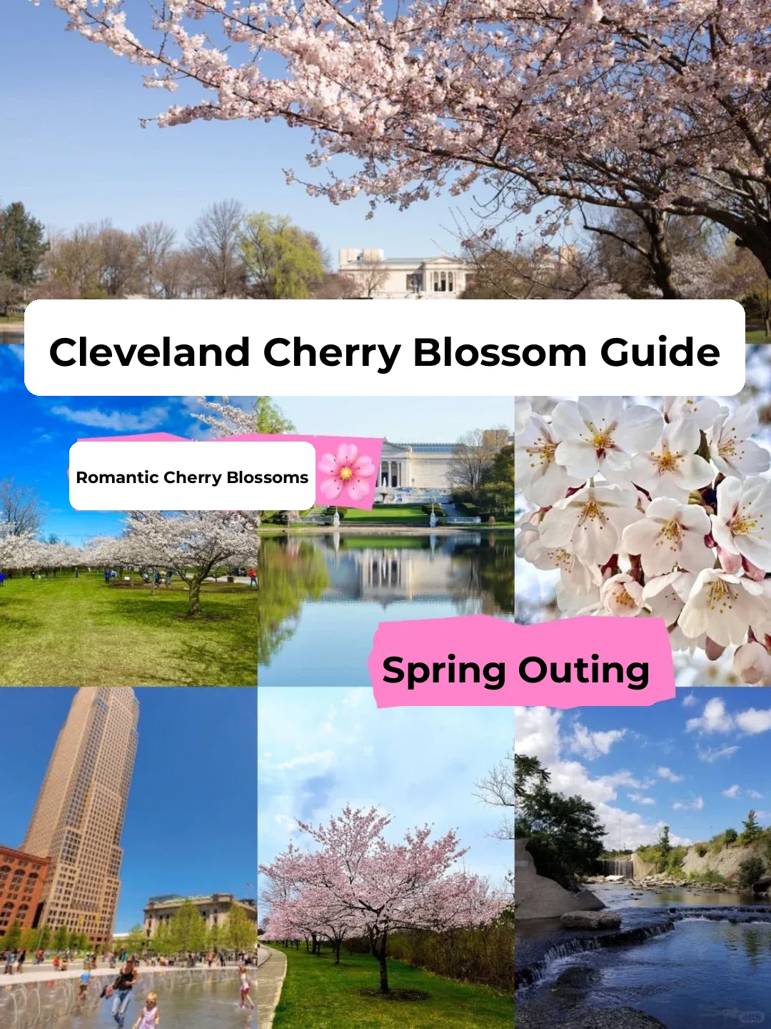 Cleveland Cherry Blossom Guide 🌸 Jump into Spring Together!