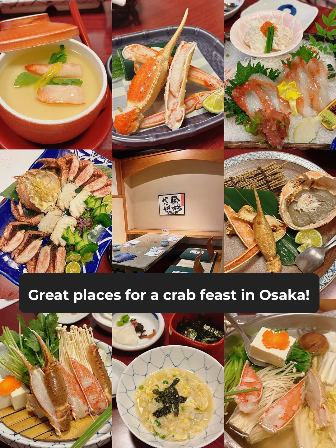 Japan Free & Easy | Osaka Crab Feast – Food, Ambiance, and Service All Top-Notch