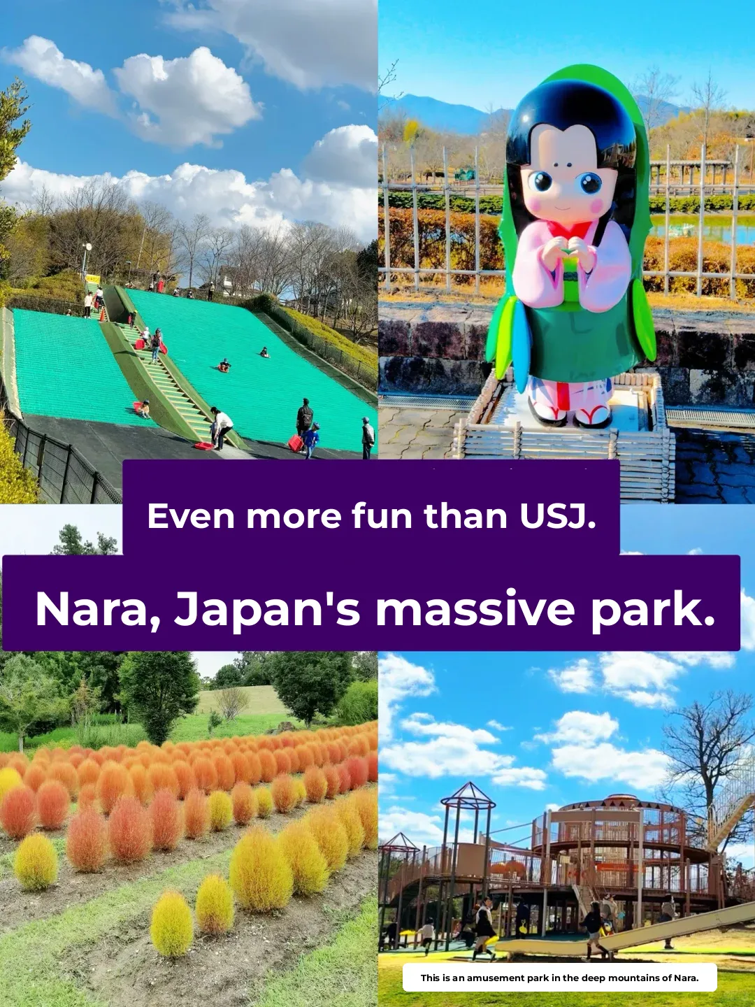 Better Than USJ: Discover the Hidden Gem of an Adventure Park! 🌳🐾