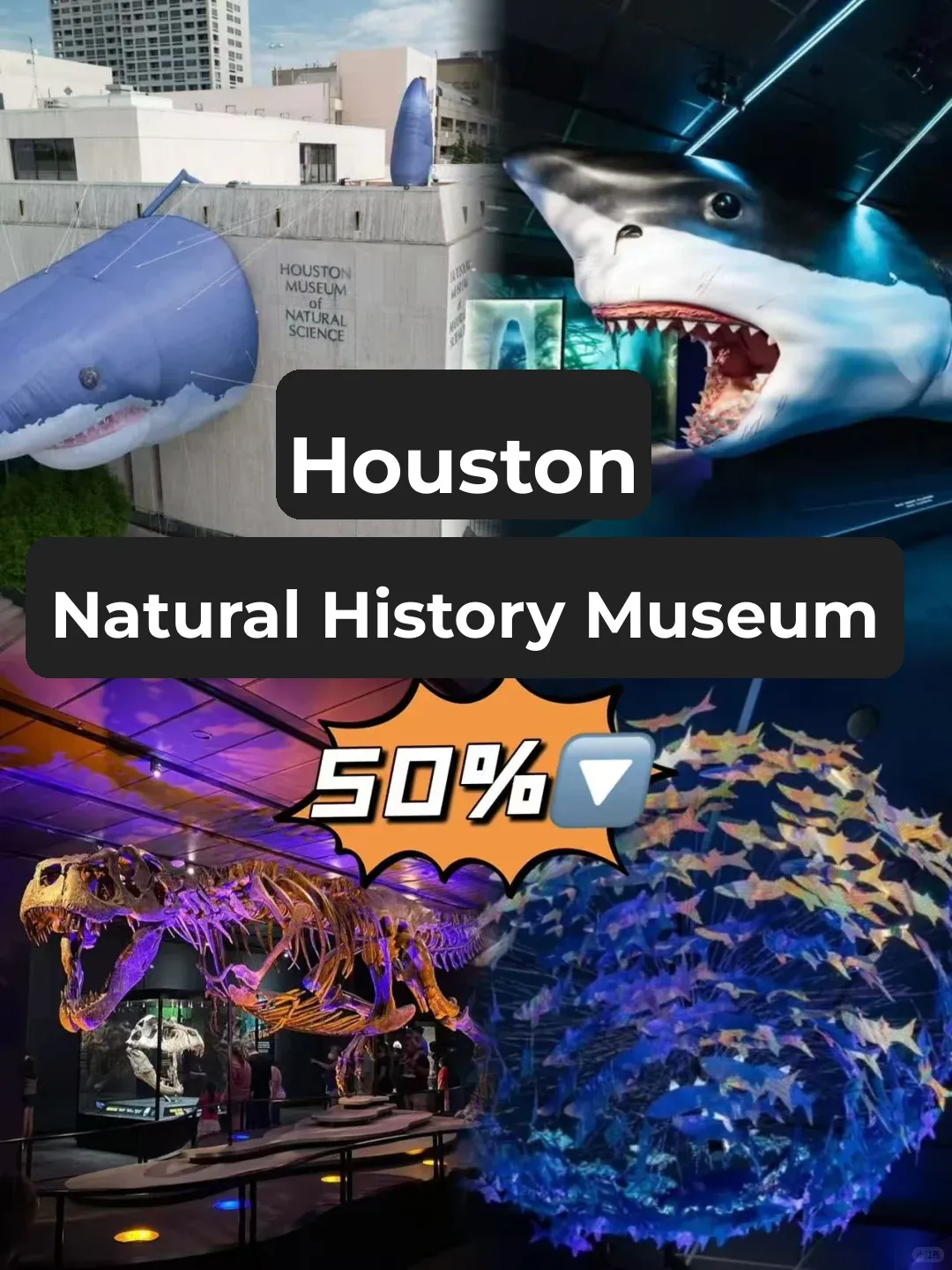 🦖🌌 Houston Museum of Natural Science: A Paradise for Science Buffs and Families