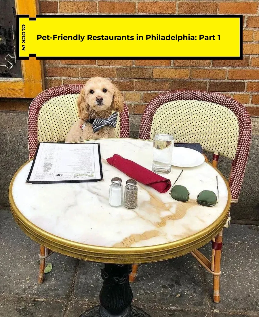 Pet-Friendly Restaurants in Philadelphia Are Here! [Part 1]