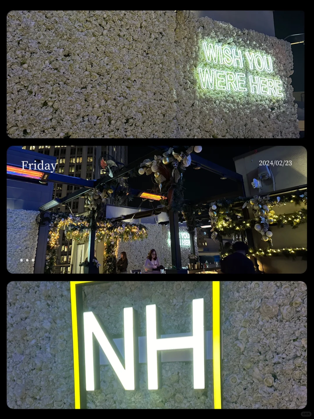 Charlotte | Novelty House❌