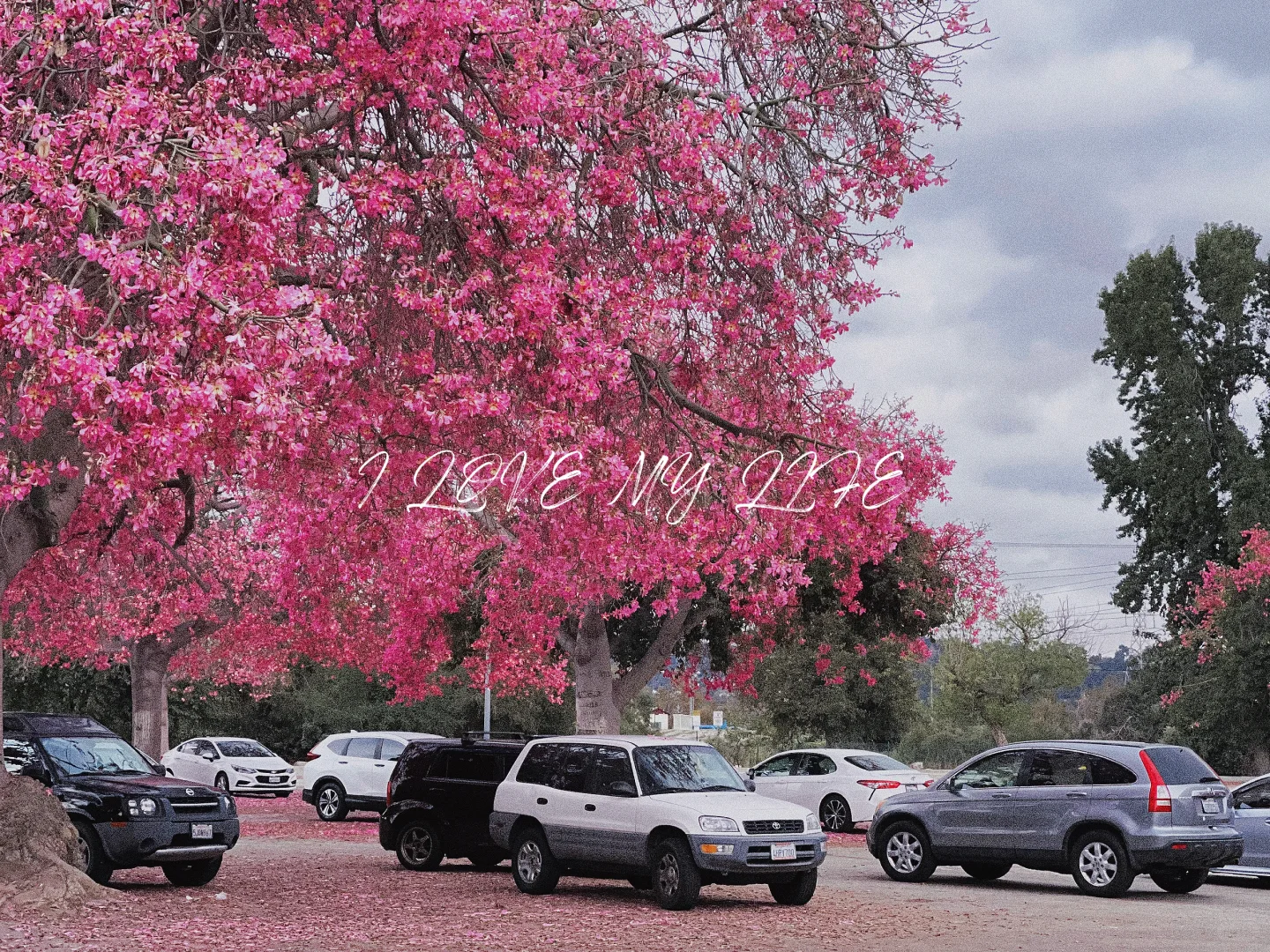 This park in LA is still my absolute fave! 💃🏿