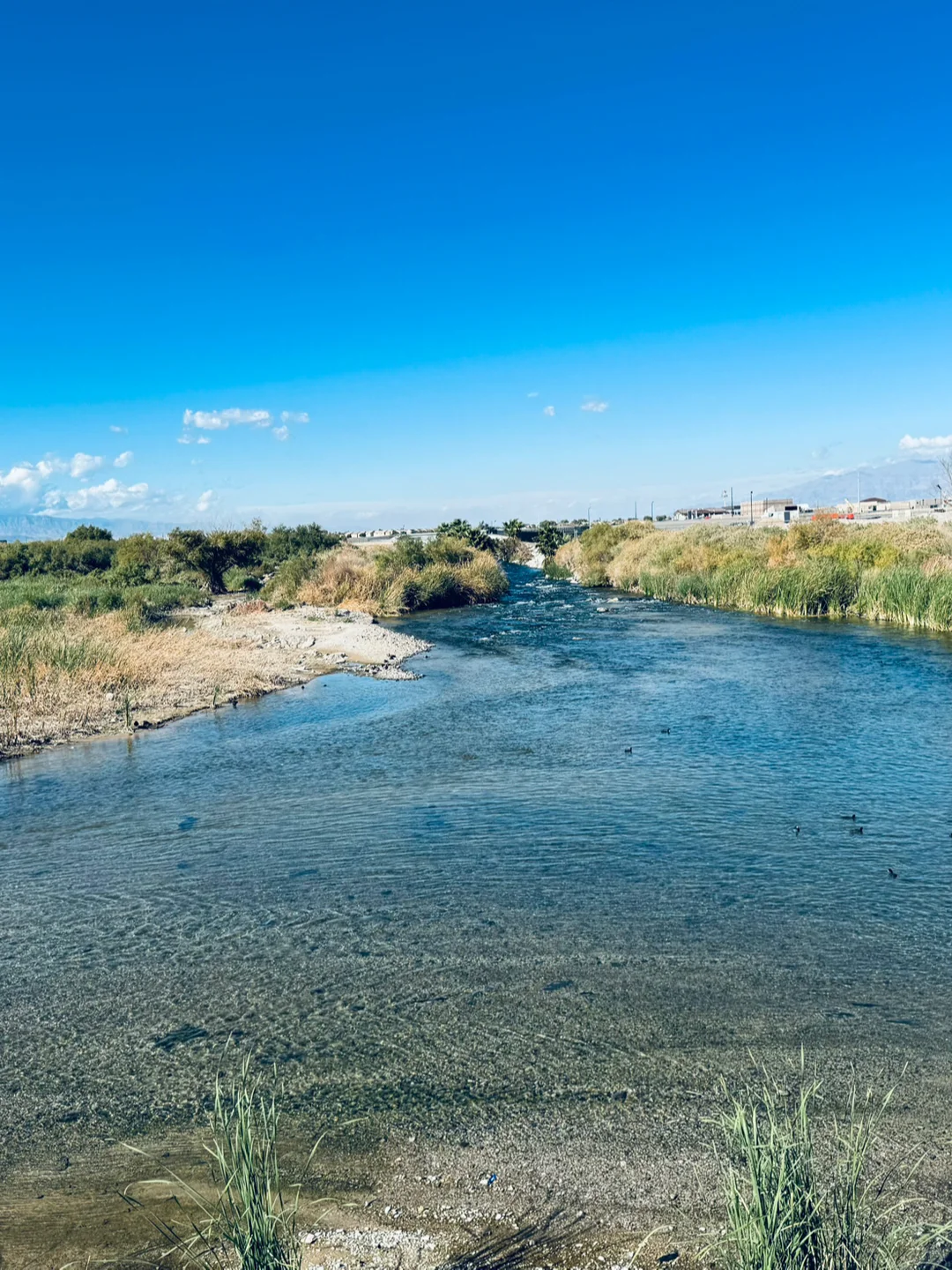 Day Trip from Las Vegas (5) – Wetlands Park